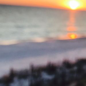 Meet your Posher, Katy